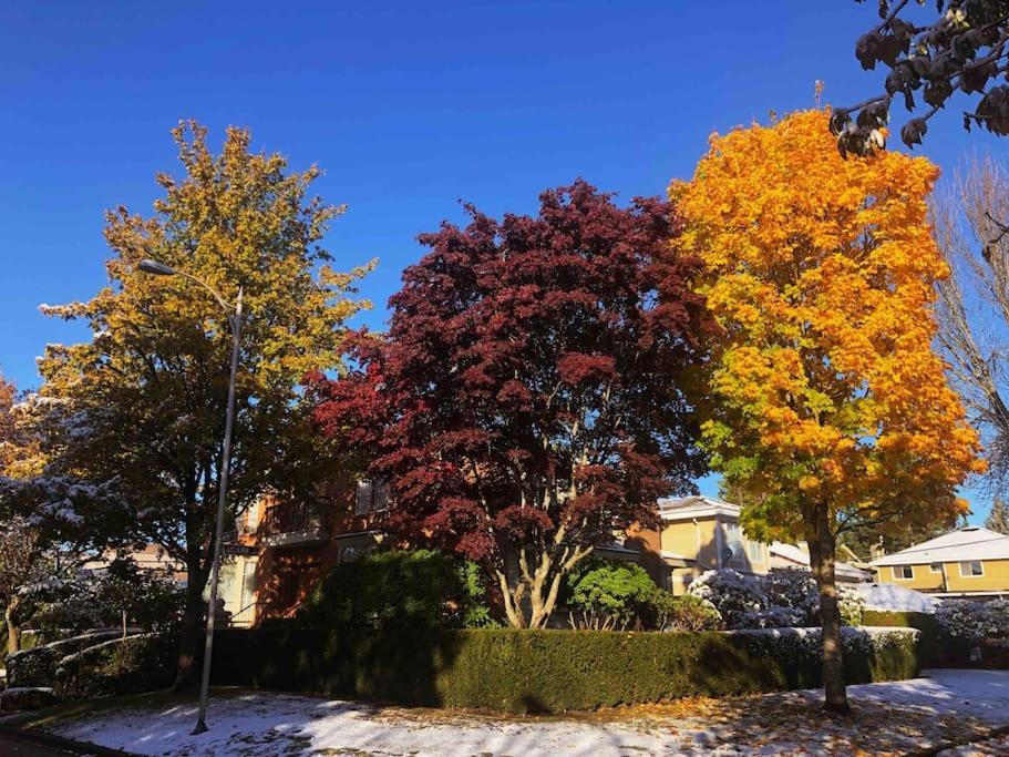 Super Cosy 8Bed & 6Bath In Vancouver Heart Near To Airport And Downtown Εξωτερικό φωτογραφία